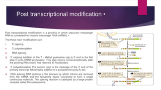 Post transcriptional modification •
Post transcriptional modification is a process in which precursor messenger
RNA is converted into mature messenger RNA (mRNA). •
The three main modifications are
I. 5' capping
II. 3' polyadenylation
III. RNA splicing
 5' capping Addition of the 7 - Methyl guanosine cap to 5’ end is the first
step in post-mRNA processing. This step occurs co-transcriptionally after
the growing RNA strand has reached 30 nucleotides.
 3' polyadenylation The second step is the cleavage of the 3' end of the
primary transcript following by addition of a polyadenine (poly-A) tail.
 RNA splicing RNA splicing is the process by which introns are removed
from the mRNA and the remaining exons connected to form a single
continuous molecule. The splicing reaction is catalyzed by a large protein
complex called the spliceosome.
 