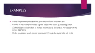 EXAMPLES
 Some simple examples of where gene expression is important are:
• Control of insulin expression so it gives a signal for blood glucose regulation.
• X chromosome inactivation in female mammals to prevent an "overdose" of the
genes it contains.
• Cyclin expression levels control progression through the eukaryotic cell cycle.
 