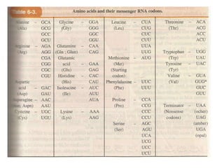 Gene expression and regulation
