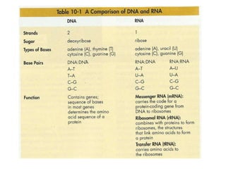 Gene expression and regulation