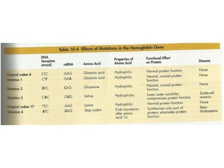 Gene expression and regulation