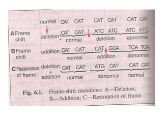 Gene expression and regulation
