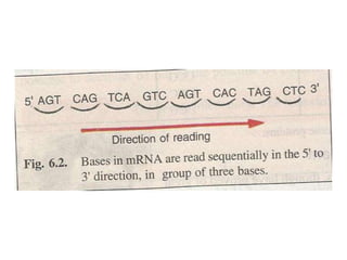 Gene expression and regulation