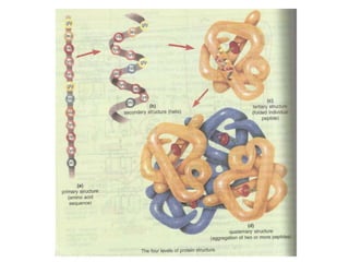 Gene expression and regulation