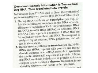 Gene expression and regulation