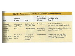 Gene expression and regulation