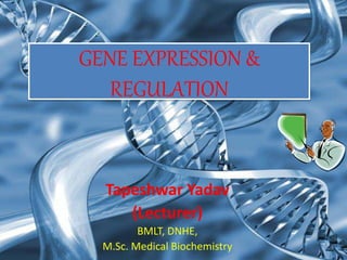 GENE EXPRESSION &
REGULATION
Tapeshwar Yadav
(Lecturer)
BMLT, DNHE,
M.Sc. Medical Biochemistry
 