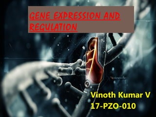 GENE EXPRESSION AND
REGULATION
Vinoth Kumar V
17-PZO-010
 