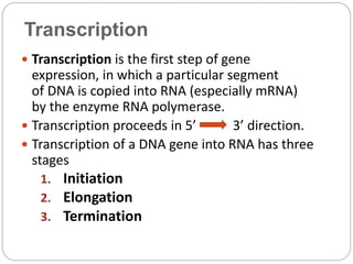 Gene expression and regulation | PPTX