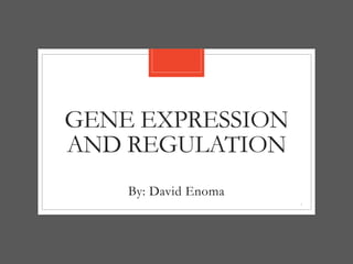 GENE EXPRESSION
AND REGULATION
By: David Enoma
1
 