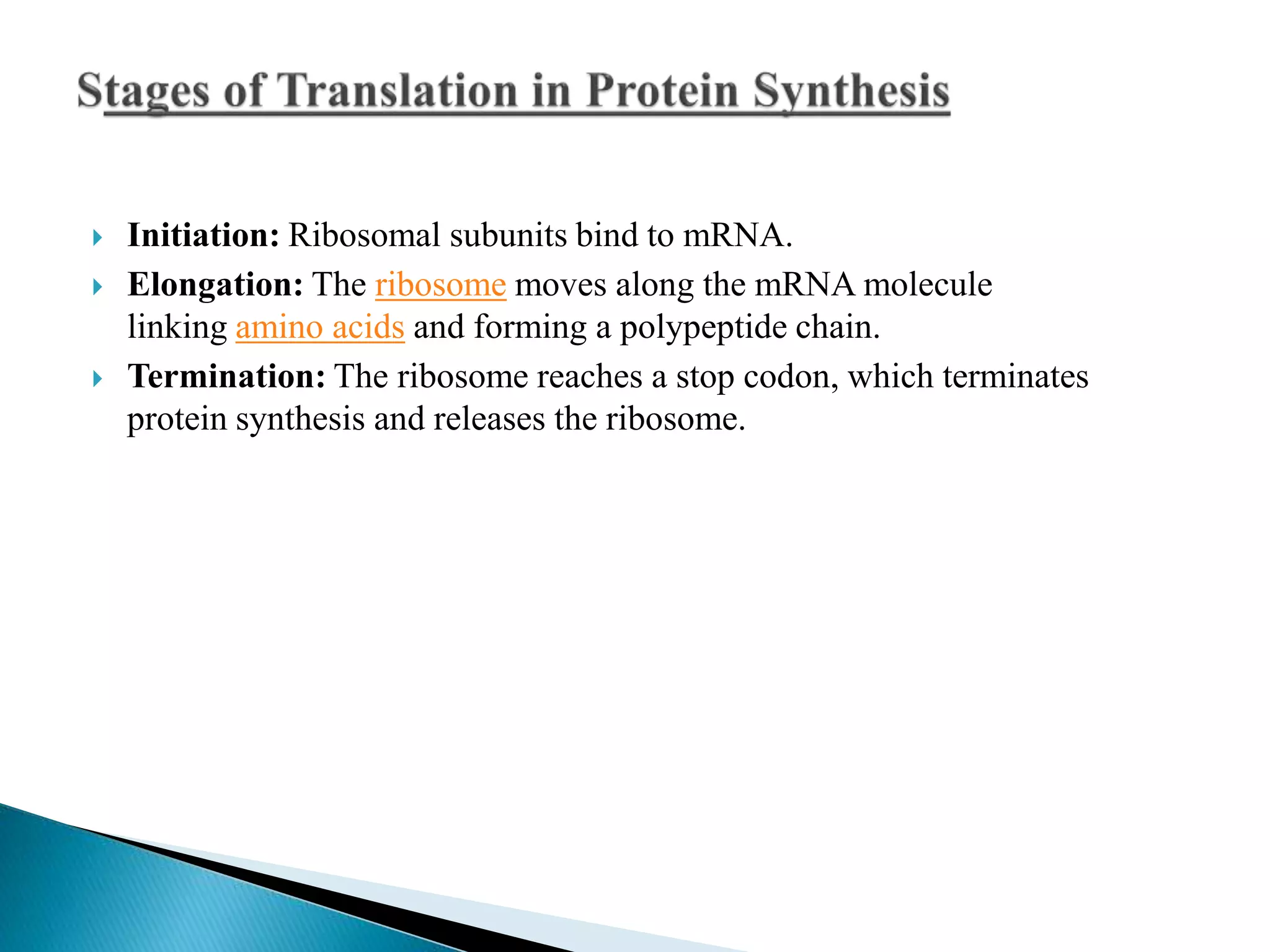 Unveiling The Secrets Of Gene Expression Translation Pogil - elovku5