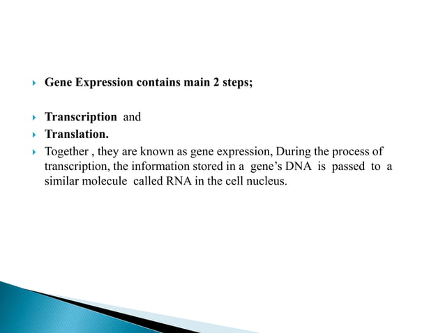 GENE EXPRESSION AND REGULATION.pptx | Biological Sciences | Science