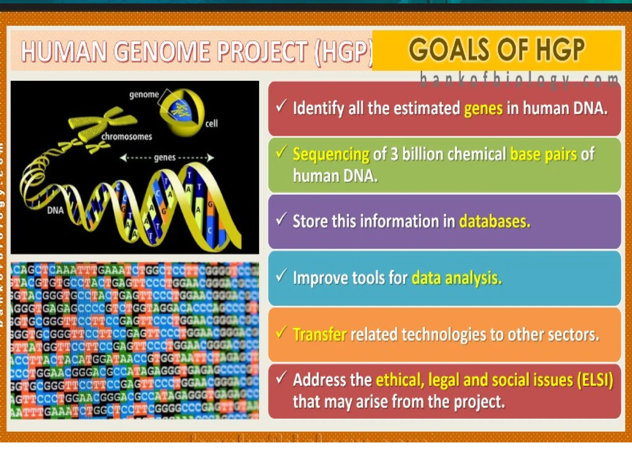 8.6 Gene Expression and Regulation
 