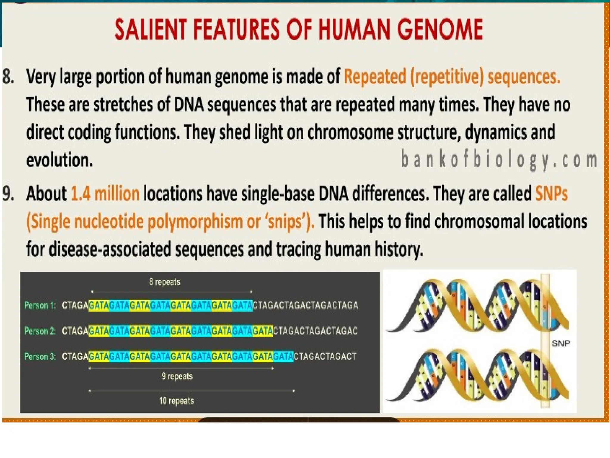 8.6 Gene Expression and Regulation
 