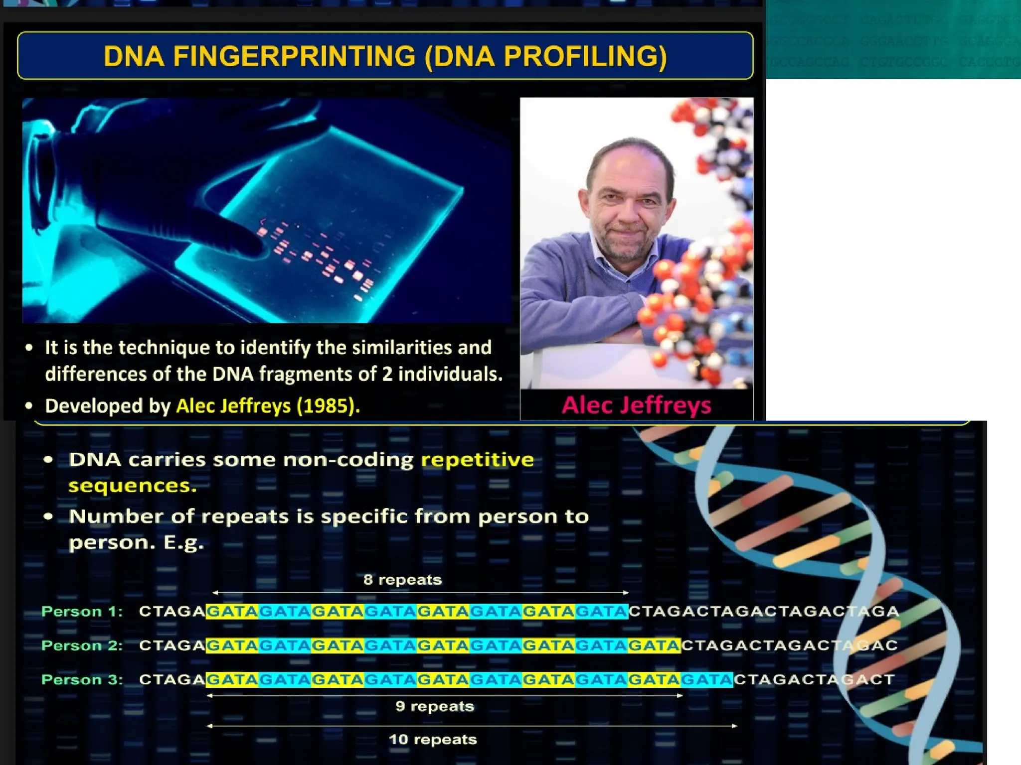 8.6 Gene Expression and Regulation
 