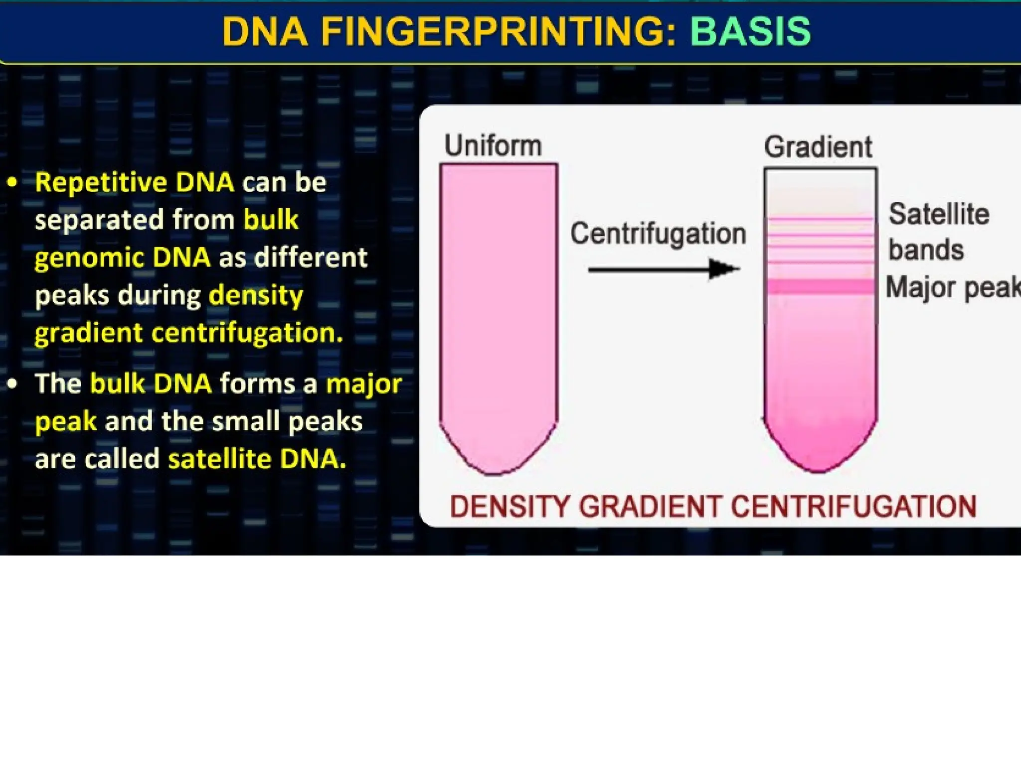 8.6 Gene Expression and Regulation
 