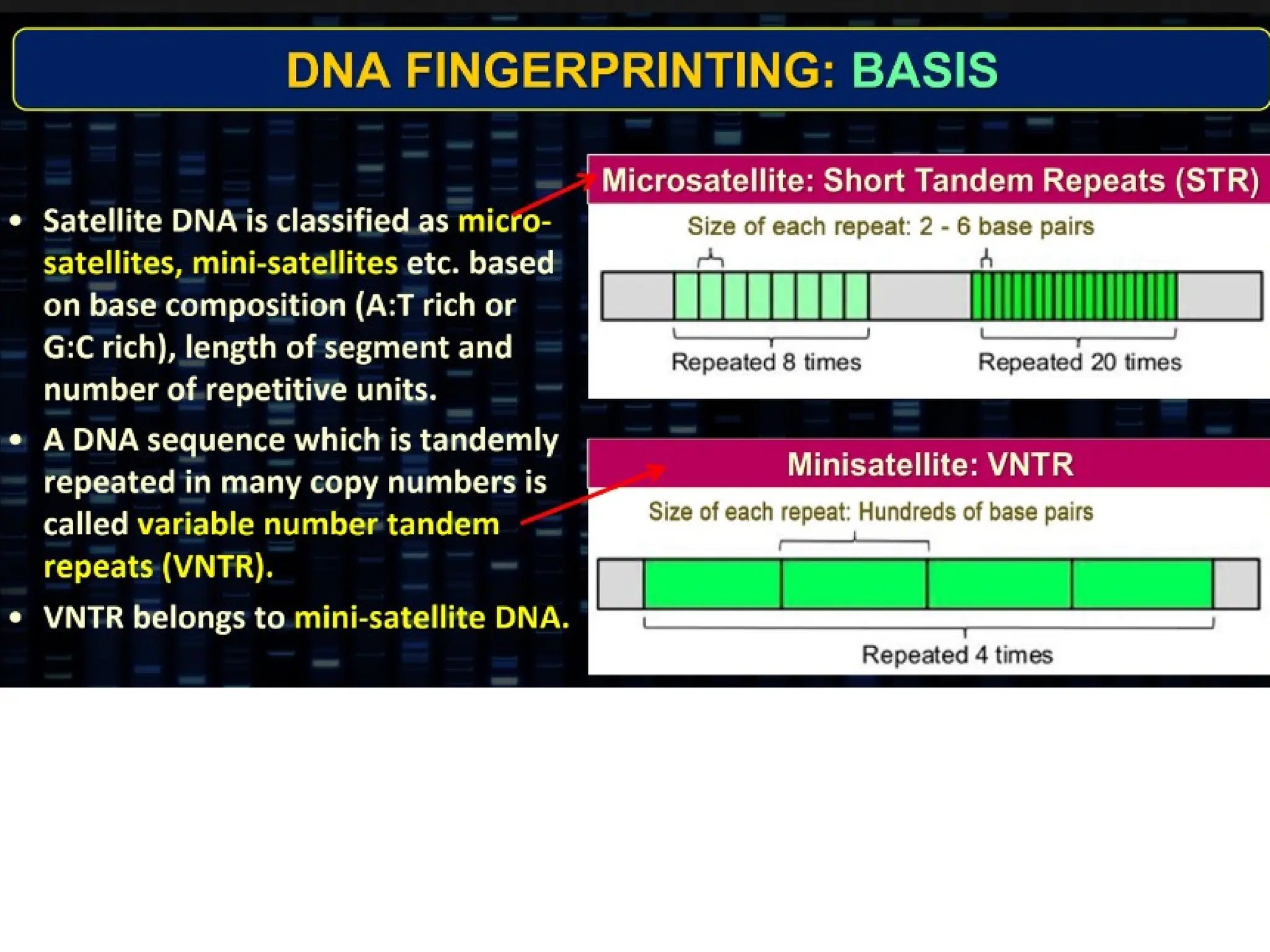 8.6 Gene Expression and Regulation
 