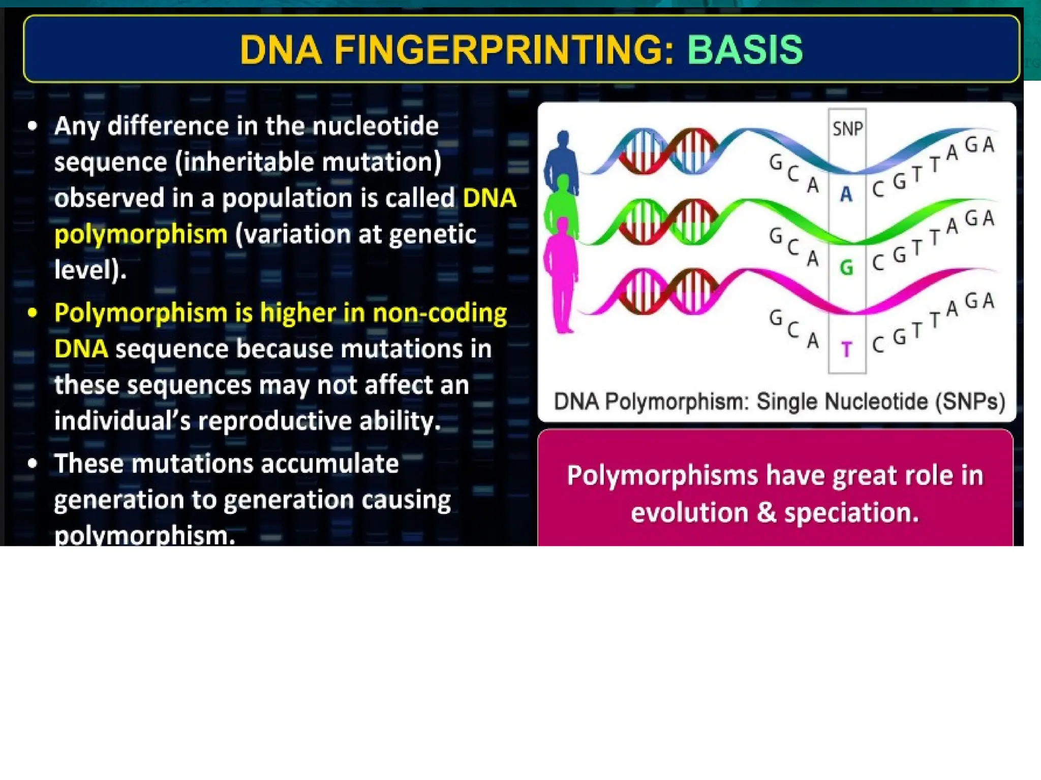 8.6 Gene Expression and Regulation
 