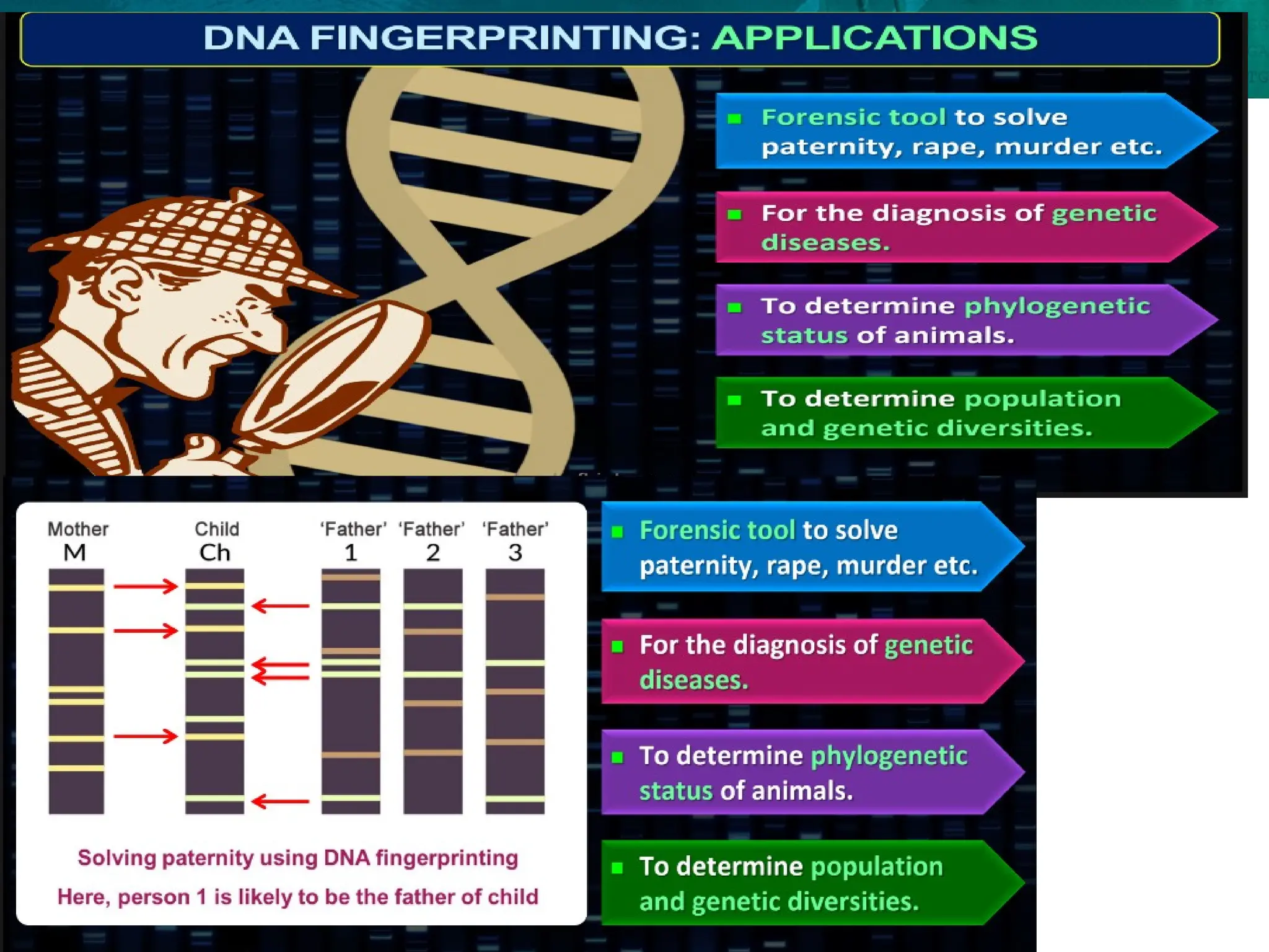 8.6 Gene Expression and Regulation
 