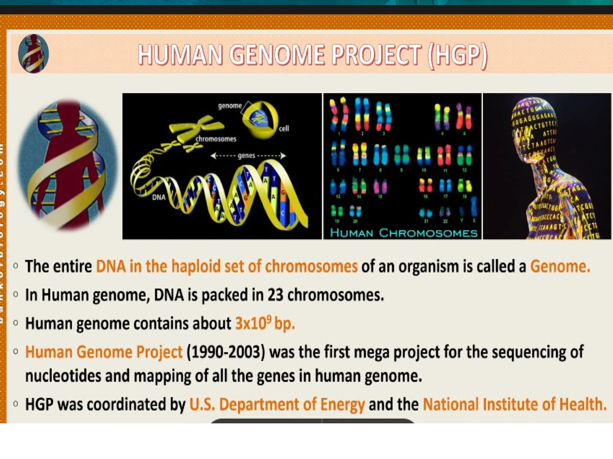 8.6 Gene Expression and Regulation
 