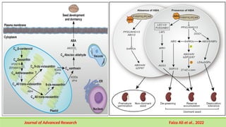 Gene Expression during seed development and maturation | PPTX