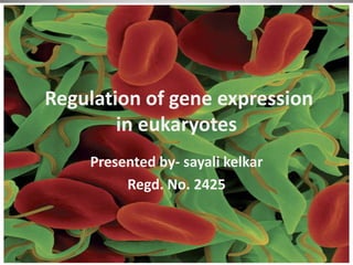 Regulation of gene expression
in eukaryotes
Presented by- sayali kelkar
Regd. No. 2425
 