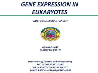 GENE EXPRESSION IN
EUKARYOTES
ANJANI KUMAR
(A/BAU/5129/2017)
Department of Genetics and Plant Breeding
FACULTY OF AGRICULTURE
BIRSA AGRICULTURAL UNIVERSITY
KANKE, RANCHI – 834006 (JHARKHAND)
DOCTORAL SEMINAR (GP-691)
 