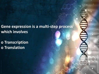 Gene expression in eukaryotes | PPTX