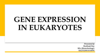 GENE EXPRESSION
IN EUKARYOTES
Presented by
Shubhajit Roy
MSc (Biotechnology)
RA2332001010094
 
