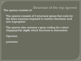 Gene expression in_prokaryotes | PPT