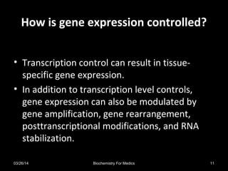 How is gene expression controlled?How is gene expression controlled?
• Transcription control can result in tissue-
specific gene expression.
• In addition to transcription level controls,
gene expression can also be modulated by
gene amplification, gene rearrangement,
posttranscriptional modifications, and RNA
stabilization.
03/26/14 11Biochemistry For Medics
 