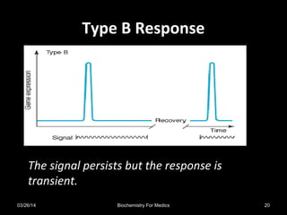 Type B ResponseType B Response
The signal persists but the response is
transient.
03/26/14 20Biochemistry For Medics
 