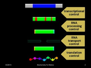 03/26/14 Biochemistry For Medics 3
 