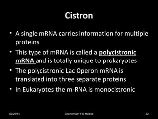 CistronCistron
• A single mRNA carries information for multiple
proteins
• This type of mRNA is called a polycistronic
mRNA and is totally unique to prokaryotes
• The polycistronic Lac Operon mRNA is
translated into three separate proteins
• In Eukaryotes the m-RNA is monocistronic
03/26/14 32Biochemistry For Medics
 