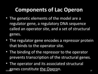 Components of Lac OperonComponents of Lac Operon
• The genetic elements of the model are a
regulator gene, a regulatory DNA sequence
called an operator site, and a set of structural
genes.
• The regulator gene encodes a repressor protein
that binds to the operator site.
• The binding of the repressor to the operator
prevents transcription of the structural genes.
• The operator and its associated structural
genes constitute the Operon.03/26/14 37Biochemistry For Medics
 