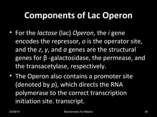Components of Lac OperonComponents of Lac Operon
• For the lactose (lac) Operon, the i gene
encodes the repressor, o is the operator site,
and the z, y, and a genes are the structural
genes for β -galactosidase, the permease, and
the transacetylase, respectively.
• The Operon also contains a promoter site
(denoted by p), which directs the RNA
polymerase to the correct transcription
initiation site. transcript.
03/26/14 38Biochemistry For Medics
 