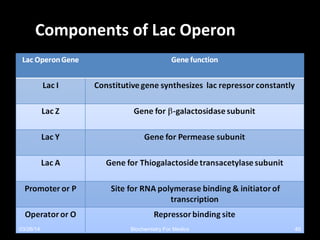 Components of Lac OperonComponents of Lac Operon
03/26/14 40Biochemistry For Medics
 