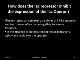 How does the lac repressor inhibitHow does the lac repressor inhibit
the expression of the lac Operon?the expression of the lac Operon?
•The lac repressor can exist as a dimer of 37-kd subunits,
and two dimers often come together to form a
tetramer.
• In the absence of lactose, the repressor binds very
tightly and rapidly to the operator.
03/26/14 42Biochemistry For Medics
 