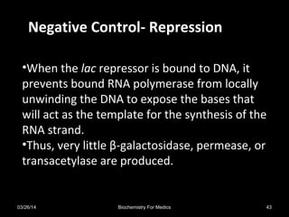 Negative Control- Repression
•When the lac repressor is bound to DNA, it
prevents bound RNA polymerase from locally
unwinding the DNA to expose the bases that
will act as the template for the synthesis of the
RNA strand.
•Thus, very little β-galactosidase, permease, or
transacetylase are produced.
03/26/14 43Biochemistry For Medics
 