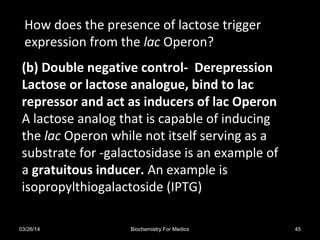 How does the presence of lactose triggerHow does the presence of lactose trigger
expression from theexpression from the laclac Operon?Operon?
(b) Double negative control- Derepression
Lactose or lactose analogue, bind to lac
repressor and act as inducers of lac Operon
A lactose analog that is capable of inducing
the lac Operon while not itself serving as a
substrate for -galactosidase is an example of
a gratuitous inducer. An example is
isopropylthiogalactoside (IPTG)
03/26/14 45Biochemistry For Medics
 