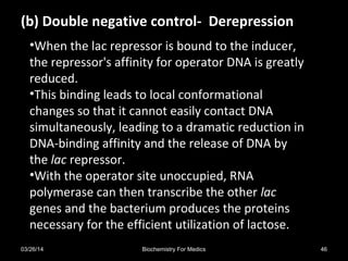 •When the lac repressor is bound to the inducer,
the repressor's affinity for operator DNA is greatly
reduced.
•This binding leads to local conformational
changes so that it cannot easily contact DNA
simultaneously, leading to a dramatic reduction in
DNA-binding affinity and the release of DNA by
the lac repressor.
•With the operator site unoccupied, RNA
polymerase can then transcribe the other lac
genes and the bacterium produces the proteins
necessary for the efficient utilization of lactose.
(b) Double negative control- Derepression
03/26/14 46Biochemistry For Medics
 