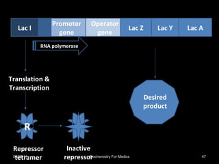 Lac I
Promoter
gene
Operator
gene
Lac Z Lac Y Lac A
RNA polymerase
Repressor
tetramer
R
Translation &
Transcription
Inactive
repressor
Desired
product
03/26/14 47Biochemistry For Medics
 