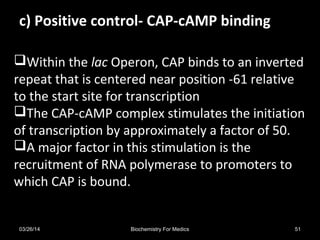 Within the lac Operon, CAP binds to an inverted
repeat that is centered near position -61 relative
to the start site for transcription
The CAP-cAMP complex stimulates the initiation
of transcription by approximately a factor of 50.
A major factor in this stimulation is the
recruitment of RNA polymerase to promoters to
which CAP is bound.
c) Positive control- CAP-cAMP bindingc) Positive control- CAP-cAMP binding
03/26/14 51Biochemistry For Medics
 