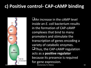 An increase in the cAMP level
inside an E. coli bacterium results
in the formation of CAP-cAMP
complexes that bind to many
promoters and stimulate the
transcription of genes encoding a
variety of catabolic enzymes.
Thus, the CAP-cAMP regulation
acts as a positive regulator
because its presence is required
for gene expression.
c) Positive control- CAP-cAMP bindingc) Positive control- CAP-cAMP binding
03/26/14 52Biochemistry For Medics
 