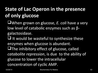 State of Lac Operon in the presenceState of Lac Operon in the presence
of only glucoseof only glucose
When grown on glucose, E. coli have a very
low level of catabolic enzymes such as β-
galactosidase.
 It would be wasteful to synthesize these
enzymes when glucose is abundant.
The inhibitory effect of glucose, called
catabolite repression, is due to the ability of
glucose to lower the intracellular
concentration of cyclic AMP.
03/26/14 53Biochemistry For Medics
 