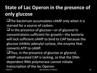 State of Lac Operon in the presence ofState of Lac Operon in the presence of
only glucoseonly glucose
The bacterium accumulates cAMP only when it is
starved for a source of carbon.
 In the presence of glucose—or of glycerol in
concentrations sufficient for growth—the bacteria
will lack sufficient cAMP to bind to CAP because the
glucose inhibits adenylyl cyclase, the enzyme that
converts ATP to cAMP.
Thus, in the presence of glucose or glycerol,
cAMP-saturated CAP is lacking, so that the DNA-
dependent RNA polymerase cannot initiate
transcription of the lac Operon.
03/26/14 54Biochemistry For Medics
 