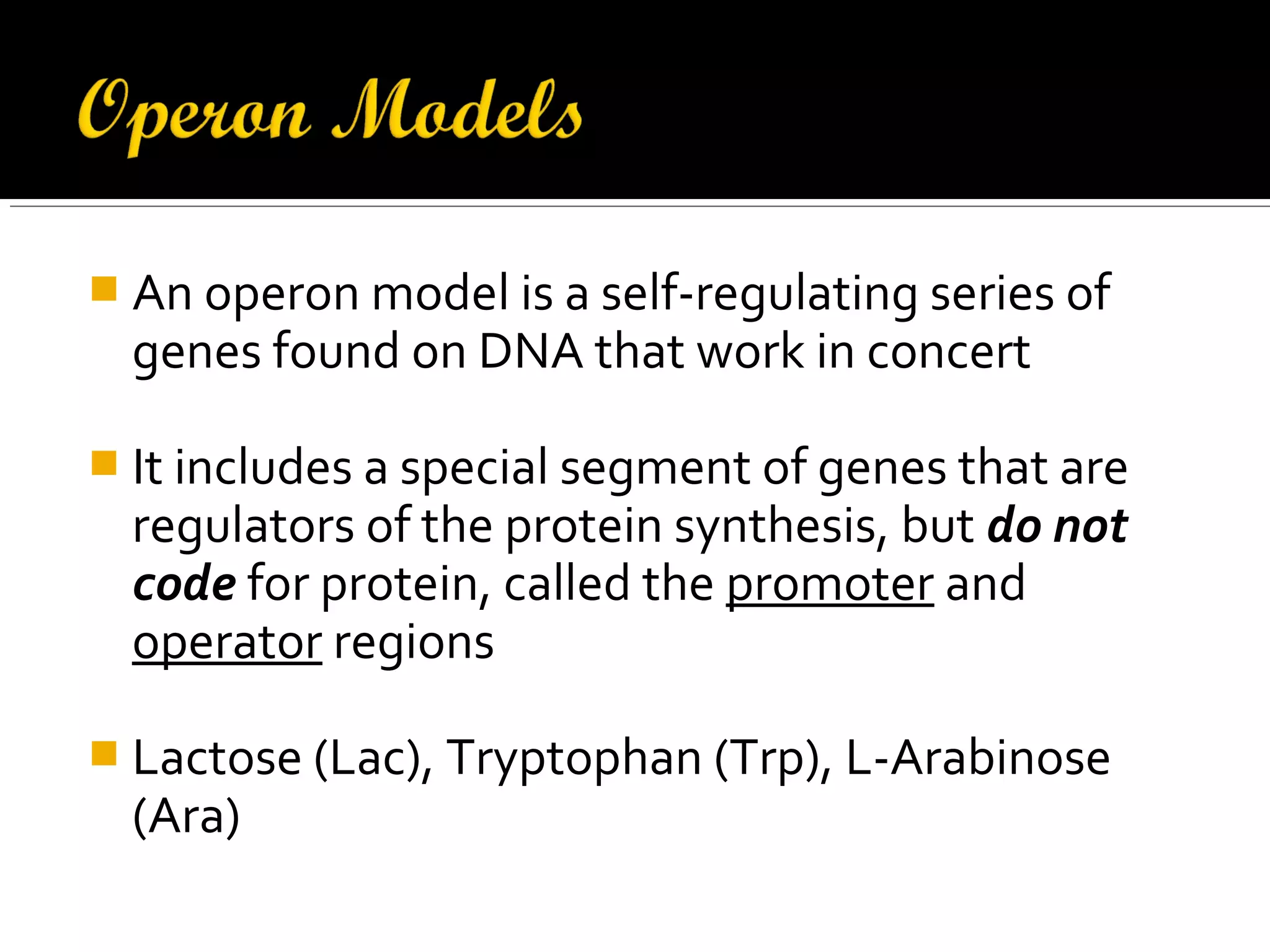  An operon model is a self-regulating series of
genes found on DNA that work in concert
 It includes a special segment of genes that are
regulators of the protein synthesis, but do not
code for protein, called the promoter and
operator regions
 Lactose (Lac), Tryptophan (Trp), L-Arabinose
(Ara)
 
