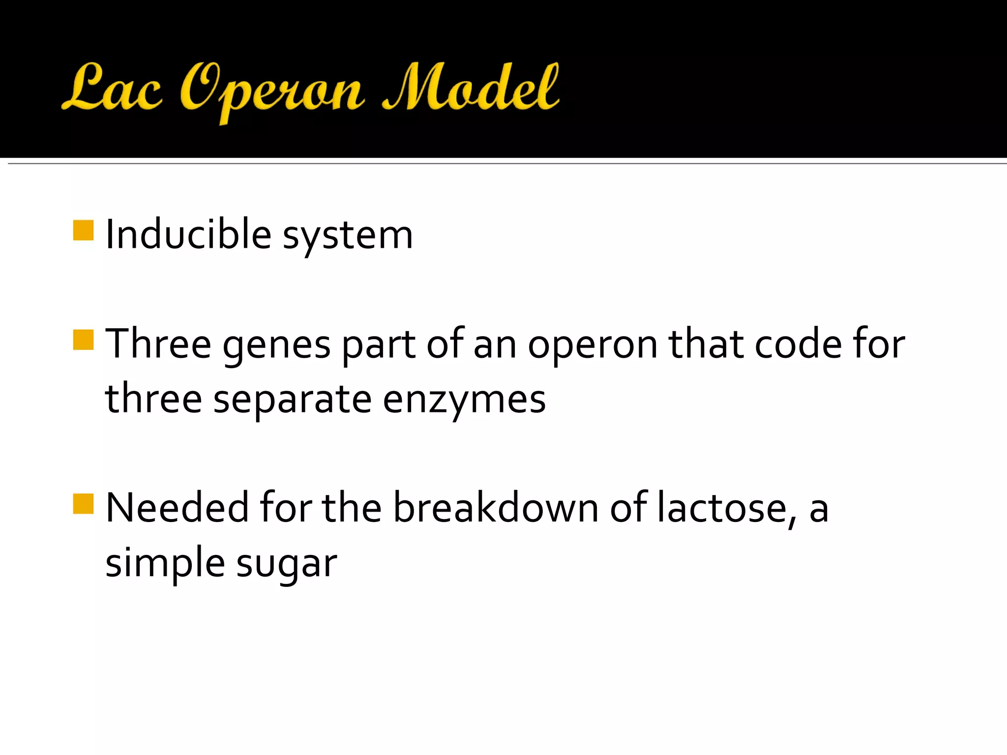  Inducible system
 Three genes part of an operon that code for
three separate enzymes
 Needed for the breakdown of lactose, a
simple sugar
 