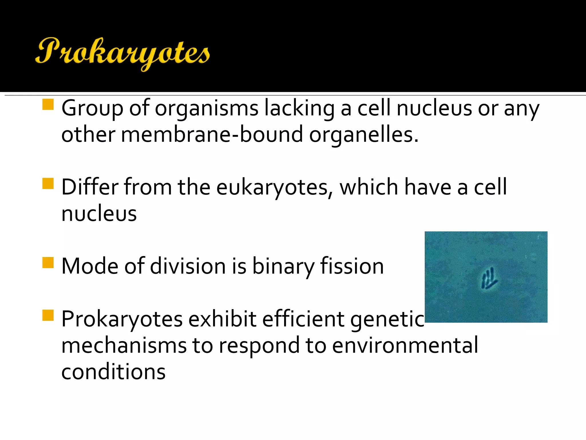  Group of organisms lacking a cell nucleus or any
other membrane-bound organelles.
 Differ from the eukaryotes, which have a cell
nucleus
 Mode of division is binary fission
 Prokaryotes exhibit efficient genetic
mechanisms to respond to environmental
conditions
 