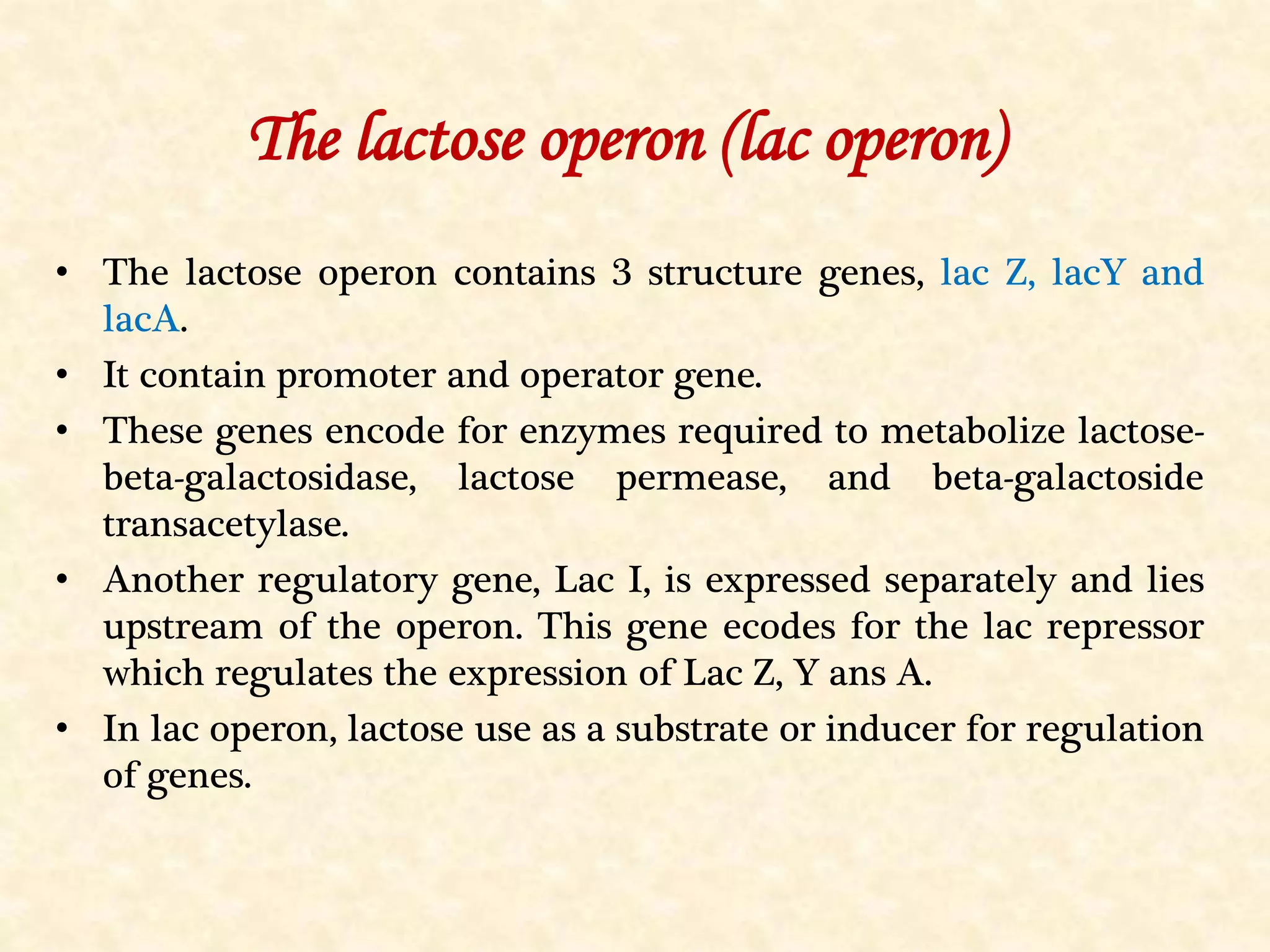 The lactose operon (lac operon)
• The lactose operon contains 3 structure genes, lac Z, lacY and
lacA.
• It contain promoter and operator gene.
• These genes encode for enzymes required to metabolize lactose-
beta-galactosidase, lactose permease, and beta-galactoside
transacetylase.
• Another regulatory gene, Lac I, is expressed separately and lies
upstream of the operon. This gene ecodes for the lac repressor
which regulates the expression of Lac Z, Y ans A.
• In lac operon, lactose use as a substrate or inducer for regulation
of genes.
 